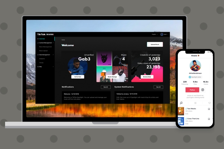 tiktok for artists web app