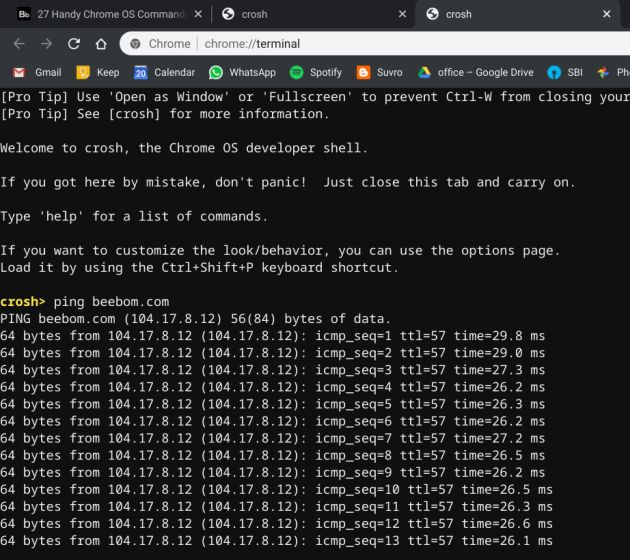 27. Learning Chrome Shell (Crosh) Best Chrome OS Tips and Tricks
