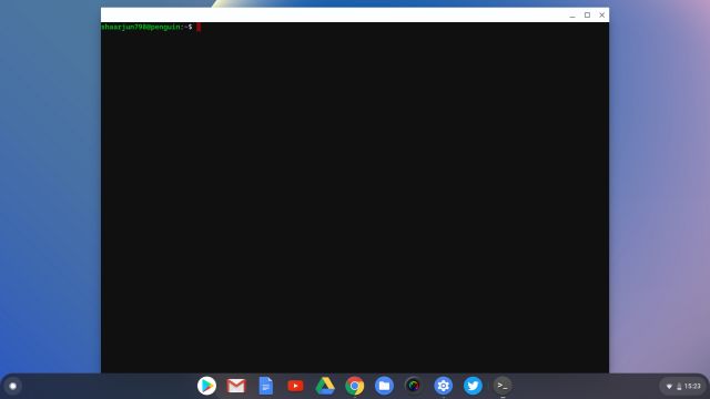 Use Linux on Your Chromebook