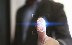 In-display Fingerprint Scanner