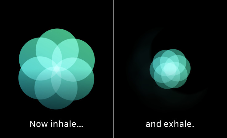 Inhale and exhale