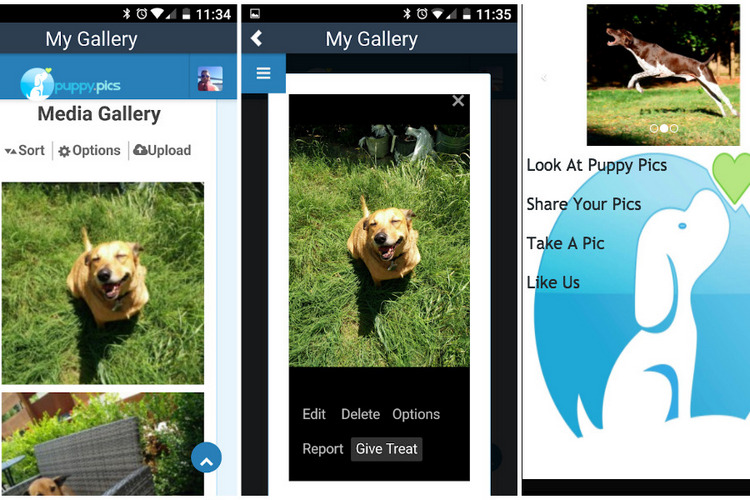 Puppy.Pics is a Social Media App for Dog Lovers Beebom