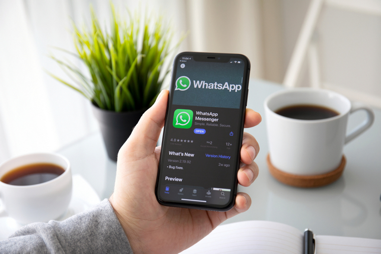 يضيف WhatsApp زر مكالمة فيديو مخصص على المجموعات 53