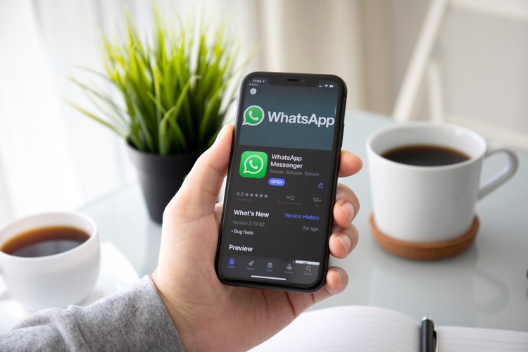 WhatsApp iPhone 11 dark shutterstock website