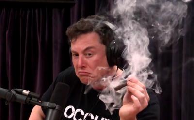 elon musk - spacex sending weed and coffee to space