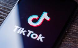 TikTok shares top 100 report to showcase best creators, memes and trends