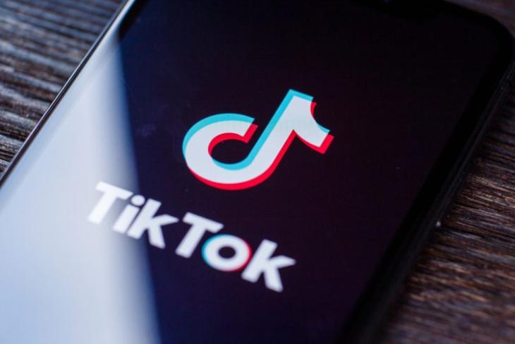 TikTok shares top 100 report to showcase best creators, memes and trends