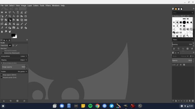 gimp for chromebook