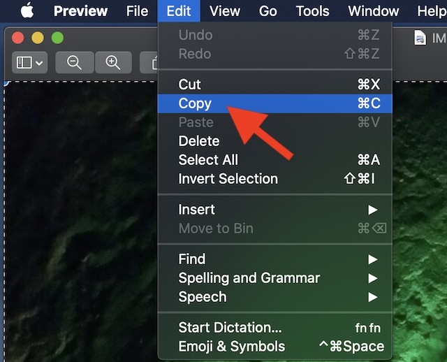 Choose Copy in Edit menu