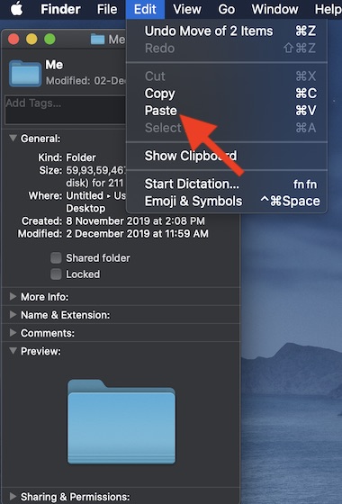 Choose Paste located in the Edit menu