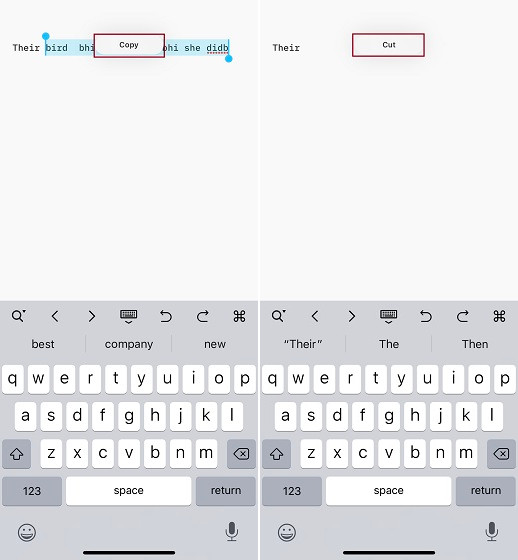 cut copy and paste using gestures on iPhone