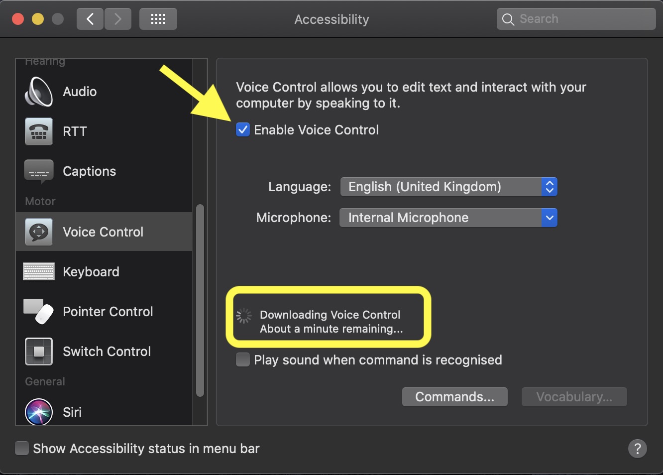 Enable Voice Control on macOS