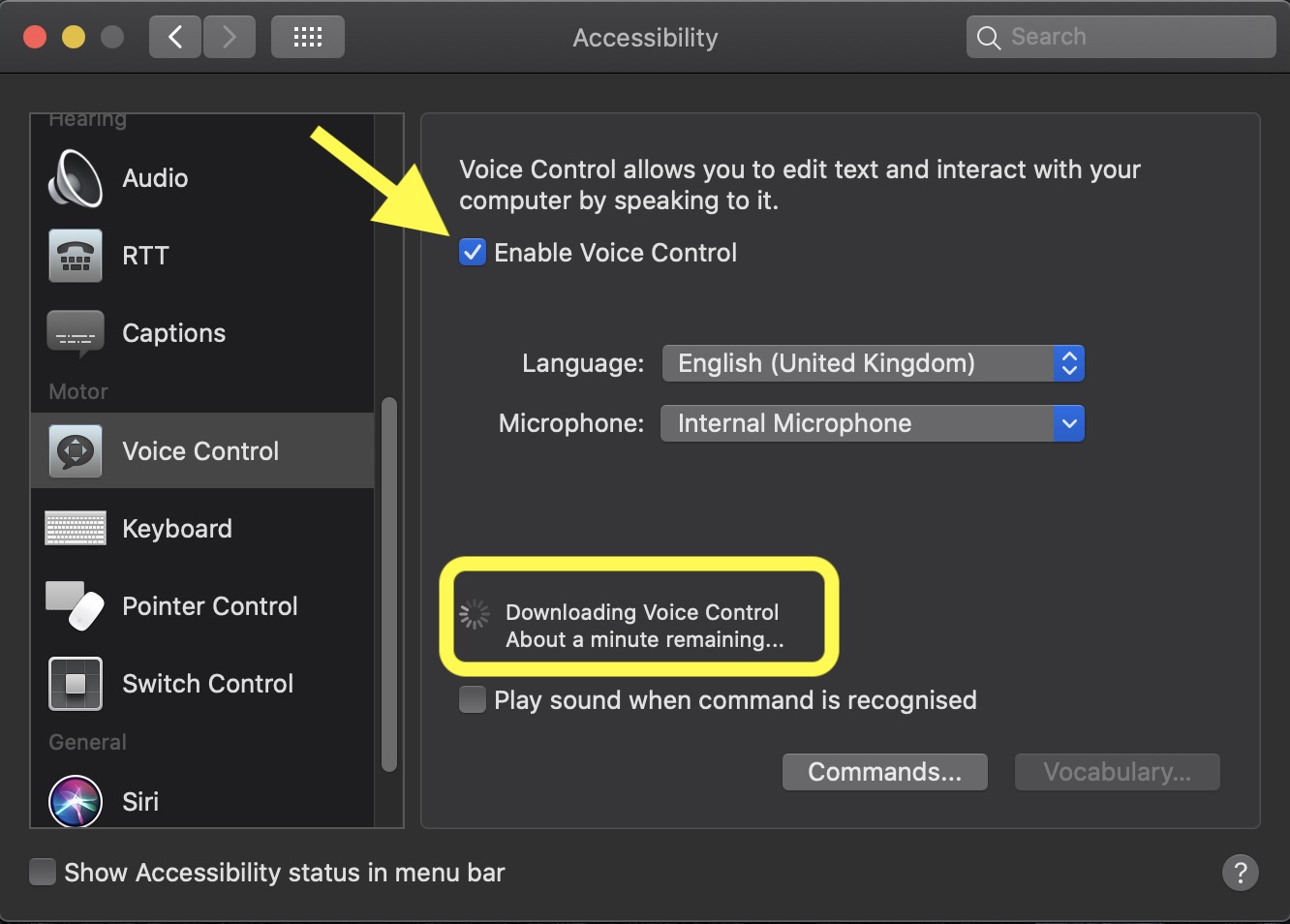 turn on chrome voice commands for mac