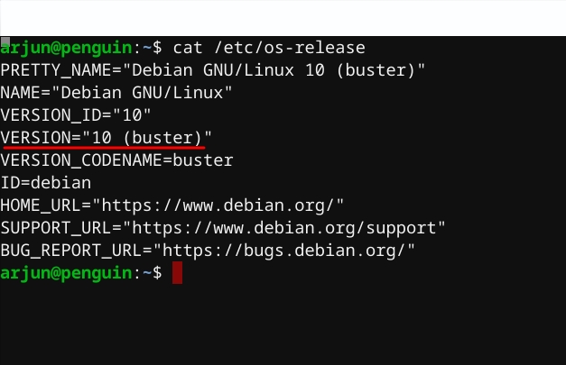 Install Debian Buster on Chromebook
