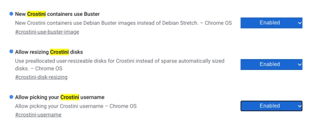 Install Debian Buster on Chromebook 4