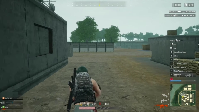 PUBG Lite on Windows PC