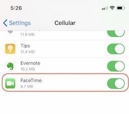 Check How Much Cellular Data FaceTime Uses on iPhone 03