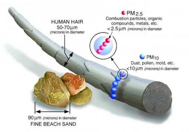 PM10 and PM2.5