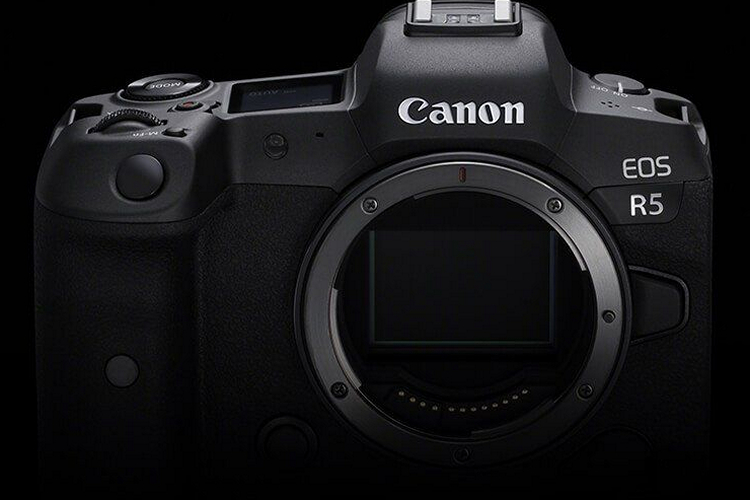 تقدم Canon EOS R5 عرض فيديو كامل العرض بسرعة 8K 30FPS ، واستقرار في الجسم والمزيد 111