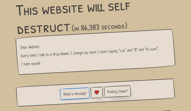 Website self destruct 1