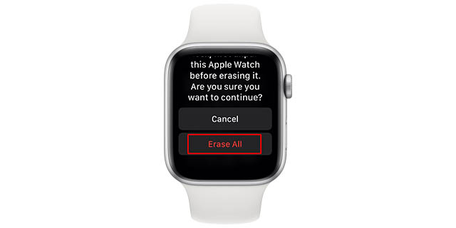 Erase hot sale apple watch