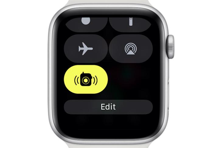 batería Fiordo Microbio How to Use Walkie-Talkie on Apple Watch | Beebom