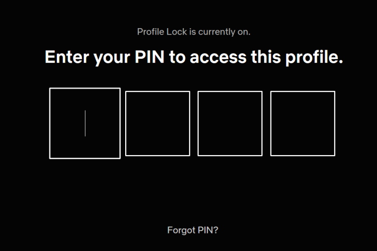 netflix pin lock 6