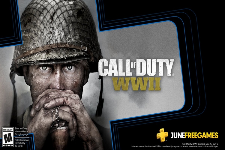 Activision Call of Duty WWII COD SONY PS4 PLAYSTATION 4
