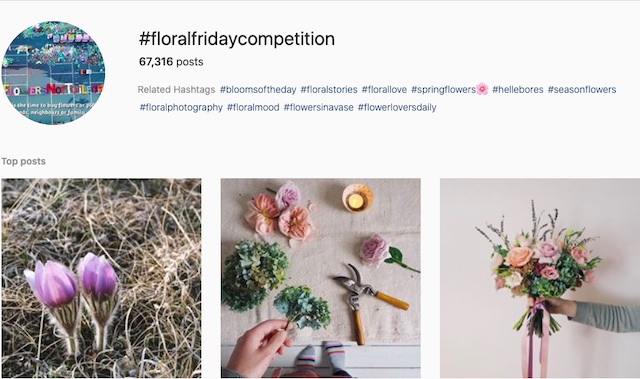 #floralfridaycompetition