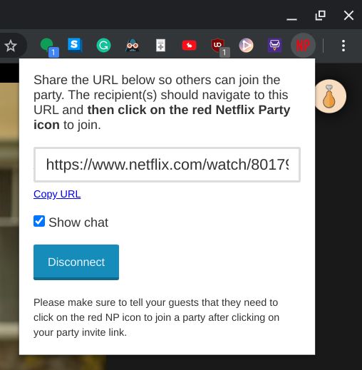 Netflix Party