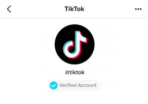 How To Get Verified Badge On Tiktok In 2020 