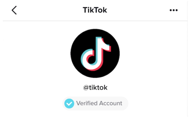 Verified tiktok scam account with 1.2 million followers : r
