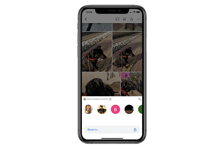 google photos album sharing