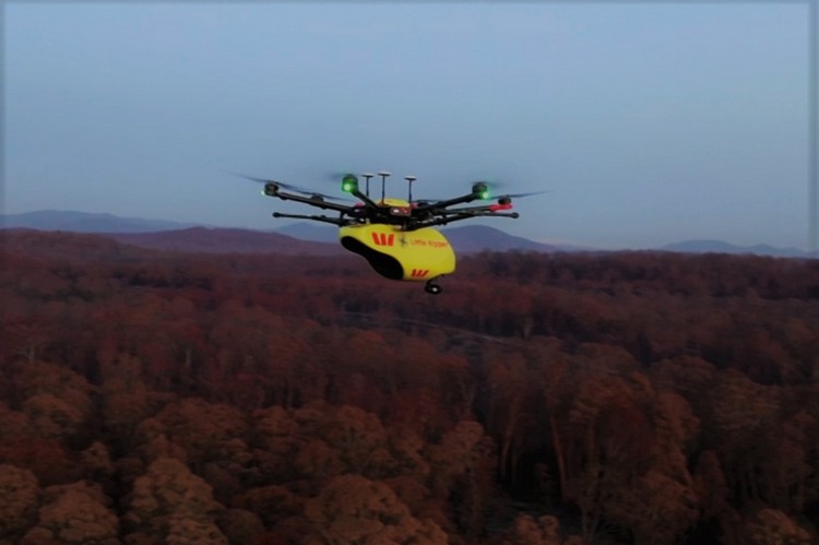Australia using drones to monitor animals feat.
