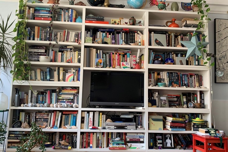 Can You Find the Cat in This Picture That Went Viral on Twitter?