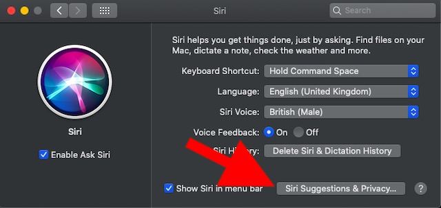 How to Use Siri Suggestions in Mail App on iOS and macOS - 35