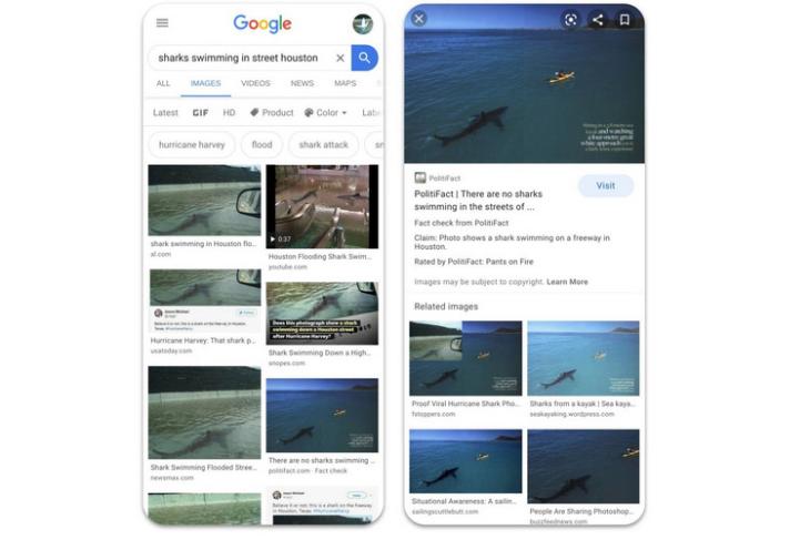Fact Checking website