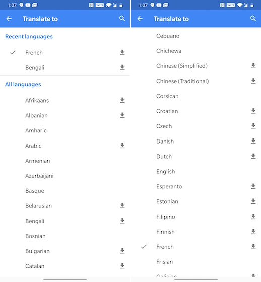 Google Translate Lanugage Support
