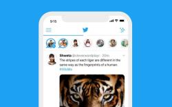 twitter fleets launches in India