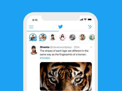 twitter fleets launches in India