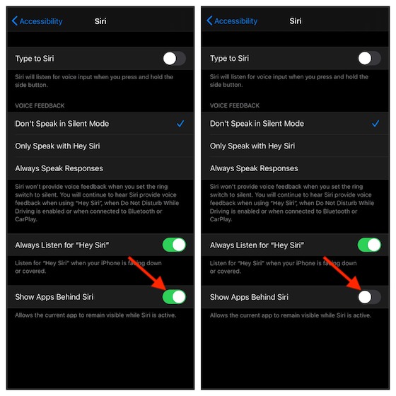 Disable Show Apps Behind Siri switch