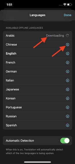 Download languages for offline translation in Apple Translate app