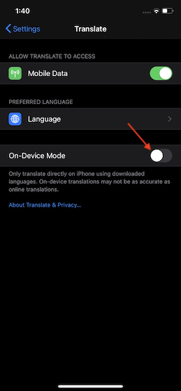 Enable Offline Translatation Mode in Apple Translate