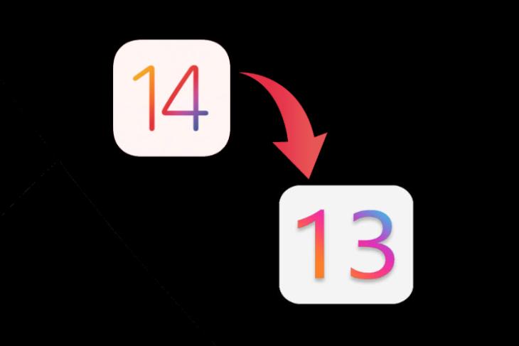 How to Downgrade from iOS 14 Developer Beta to iOS 13
