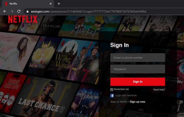 Netflix scam 1