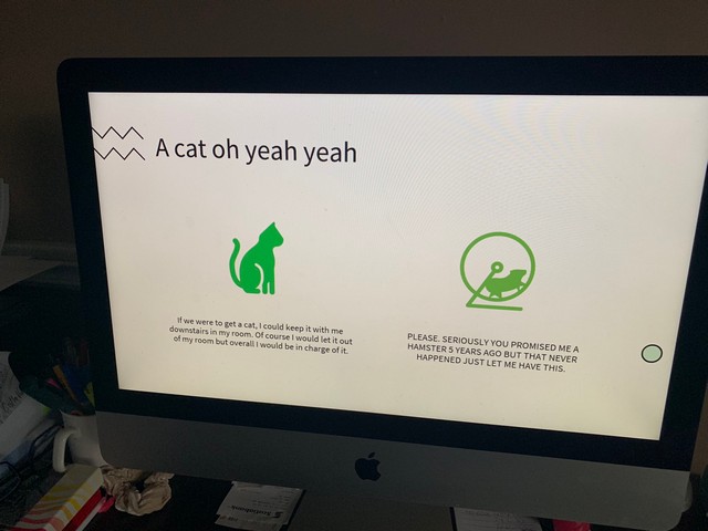 Little Girl s Presentation on  Pros of Getting a Cat  is Super Cute - 35