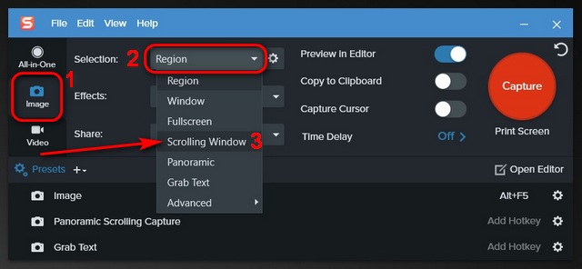 snagit scrolling capture not working