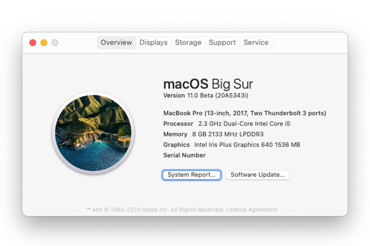 macos big sur public beta released