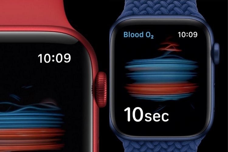 32+ Apple Watch Series 6 Bands 44Mm Images