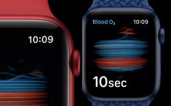10 Best Apple Watch Series 6 Bands You Can Buy in 2020